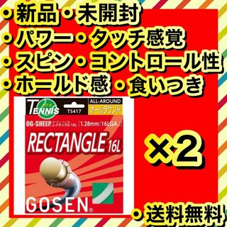 ゴーセン(GOSEN)の新品 GOSEN RECTANGLE 16L パワー スピン ホールド感 2個(その他)