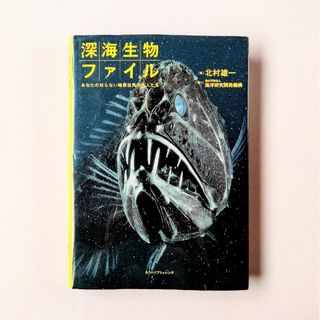 深海生物ファイル