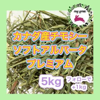 カナダ産チモシーソフトアルバータプレミアム　5kg   フォローで+1kg(ペットフード)