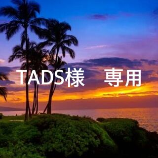 TADS様　専用(アンダーシャツ/防寒インナー)