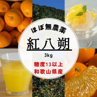 人気！減農薬!濃くて甘くて安心で安い！紅はっさく 八朔 3kg(フルーツ)