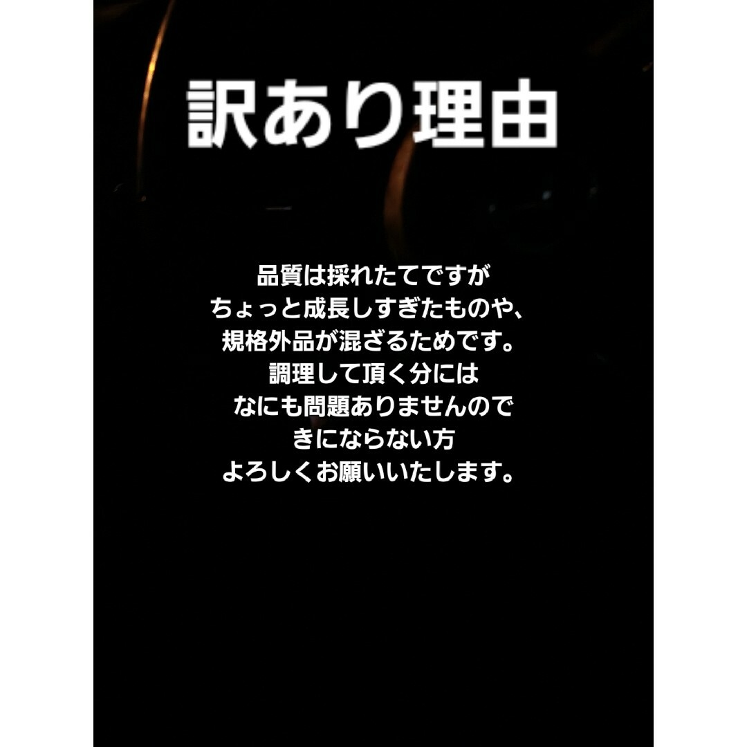 山形庄内鳥海山産　朝摘み訳あり天然たらの芽約200g　タラの芽　春野菜　山菜 食品/飲料/酒の食品(野菜)の商品写真