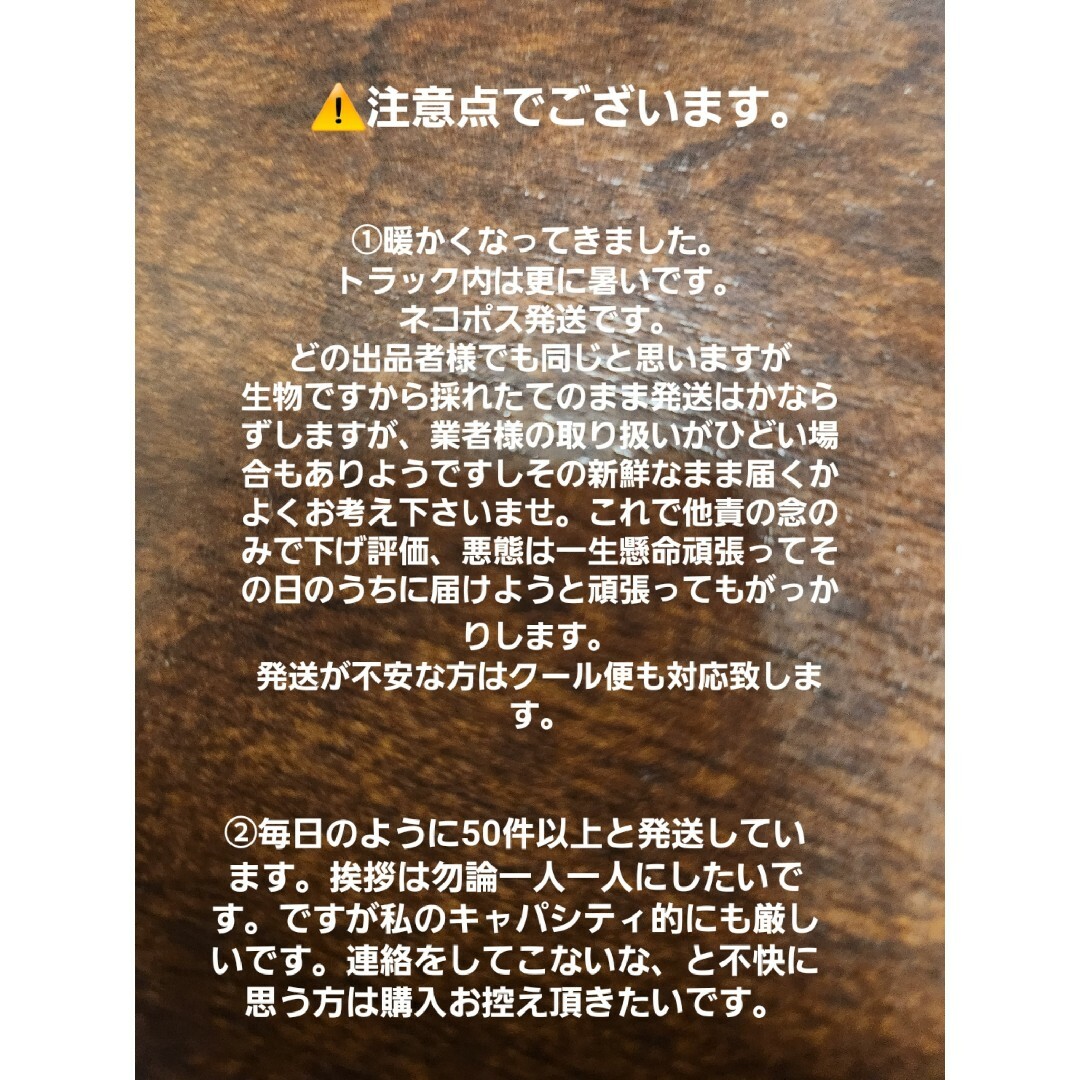 山形庄内鳥海山産　朝摘み訳あり天然たらの芽約200g　タラの芽　春野菜　山菜 食品/飲料/酒の食品(野菜)の商品写真