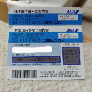 エーエヌエー(ゼンニッポンクウユ)(ANA(全日本空輸))のANA　株主優待券(その他)