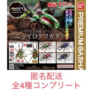 バンダイ(BANDAI)のガチャ　いきもの大図鑑アドバンス　ニジイロクワガタ　全4種コンプリートセット(その他)