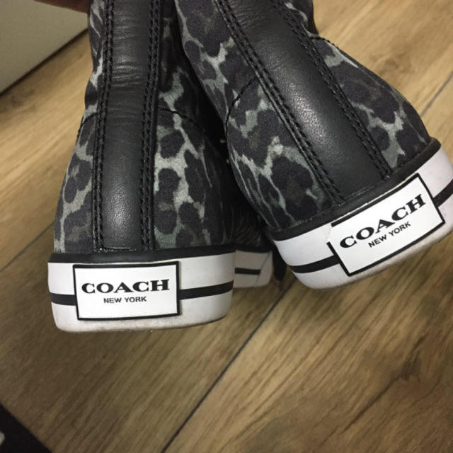 COACH(コーチ)のcoach スニーカー 23.5 レディースの靴/シューズ(スニーカー)の商品写真