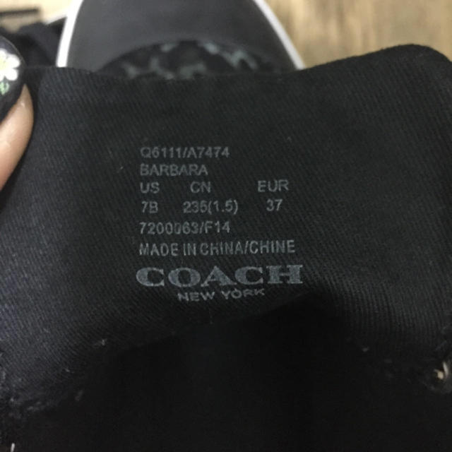 COACH(コーチ)のcoach スニーカー 23.5 レディースの靴/シューズ(スニーカー)の商品写真