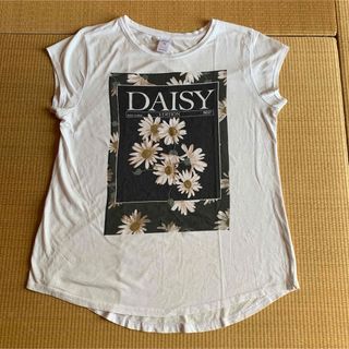 Now （Kmart） Tシャツ 白(Tシャツ(半袖/袖なし))