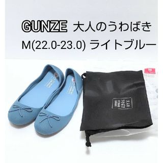 グンゼ(GUNZE)の22-23cm グンゼ 大人のうわばき ライトブルー    レディース(その他)