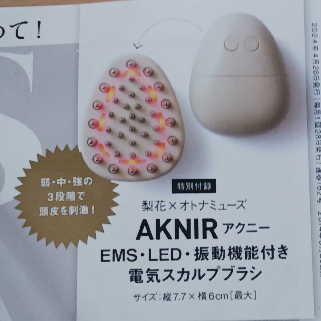 オトナミューズ付録　AKNIR　EMS・LED・振動機能つき電気スカルプブラシ コスメ/美容のヘアケア/スタイリング(スカルプケア)の商品写真