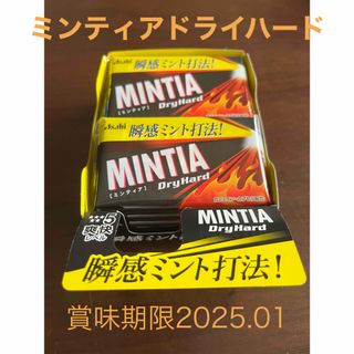 アサヒグループショクヒン(アサヒグループ食品)のミンティア ドライハード(50粒)10個(菓子/デザート)