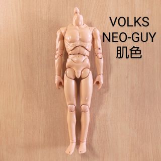 ボークス(VOLKS)のボークス ボディ ネオガイ 1/6ドール 男性 素体(その他)