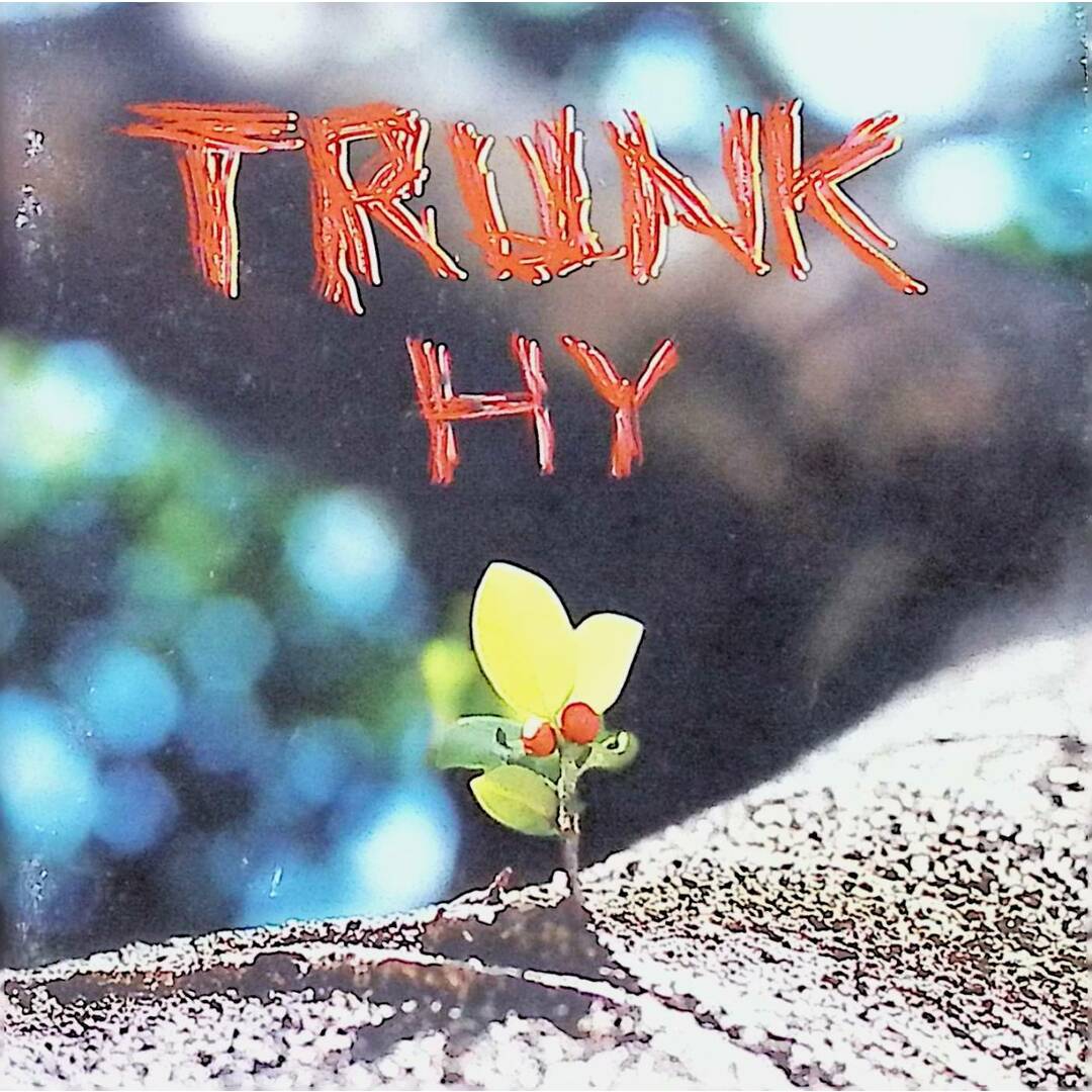 TRUNK / HY (CD) エンタメ/ホビーのCD(ポップス/ロック(邦楽))の商品写真