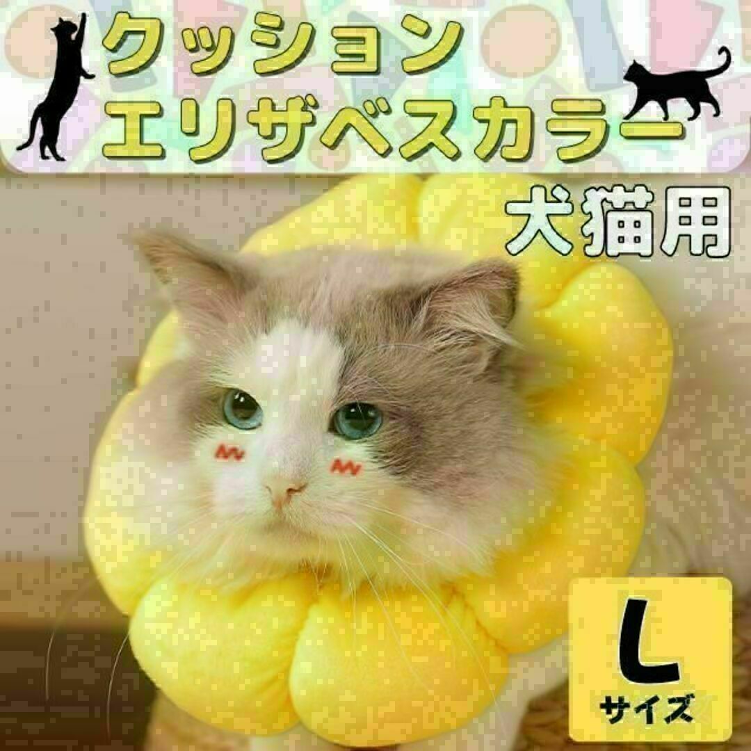 エリザベスカラー Lサイズ 猫 犬 ペット用品 クッション やわらかい その他のペット用品(猫)の商品写真