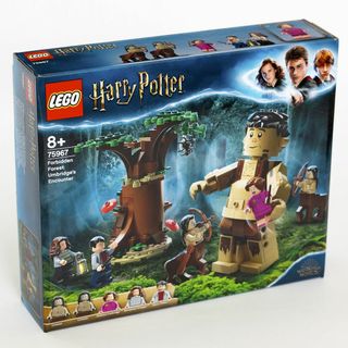 レゴ(Lego)の【新品】 レゴ LEGO 75967 禁じられた森：グロウプとアンブリッジの遭遇(積み木/ブロック)