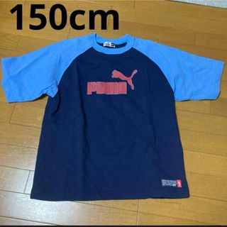 プーマ(PUMA)の150cm 男の子 半袖カットソー プーマ PUMA 半袖Tシャツ 夏服(Tシャツ/カットソー)