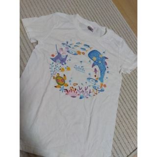 Tシャツ　レディースファッション　水族館　スプラッシュ　沖縄　限定(Tシャツ(半袖/袖なし))