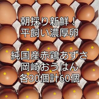 朝採り平飼い濃厚卵　あずさ:岡崎おうはん各30個計60個(その他)