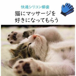 癒されるマッサージ＆お手入れ手袋【color ブルー】【ペット用品・猫・犬】(猫)