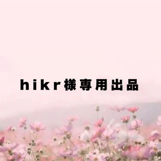 hikr様専用出品(ネイルチップ)