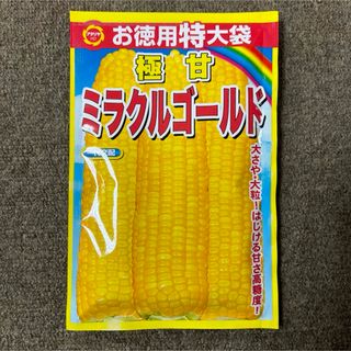 ミラクルゴールド　種　とうもろこし　特大袋(野菜)