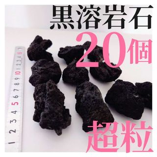 【希少】黒溶岩石 20個 【超粒】☆アクアリウム、テラリウム、コケリウムに最適