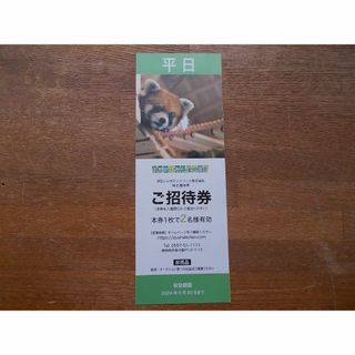 即発送　伊豆シャボテン動物公園　平日招待券１枚　伊豆シャボテンリゾート(動物園)