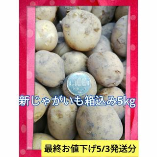 農家直送新じゃがいも箱込み5kg◆訳あり野菜(野菜)