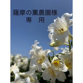 薩摩の薫農園様専用(野菜)