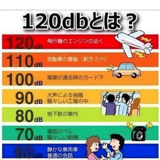 【即日発送】災害ホイッスル　防災　アルミ製　笛　キーチェーン　救助　防犯　子供(防災関連グッズ)