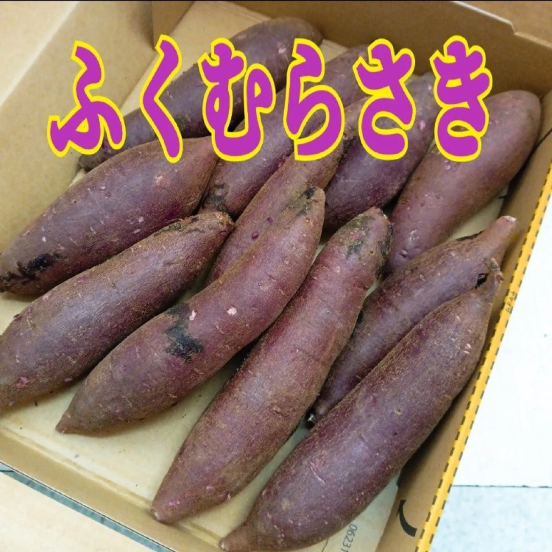 ☆希少☆ 茨城県産　紫芋　ふくむらさき    2Sサイズ 食品/飲料/酒の食品(野菜)の商品写真