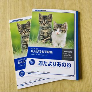 コクヨ　学習帳　おたよりあのね　12マス　リーダー罫入　2冊(ノート/メモ帳/ふせん)