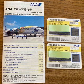 ANA株主優待券 ２枚セット グループ優待券付(航空券)