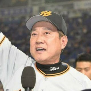 プロ野球　プライド輝く監督ポスター500(スポーツ選手)