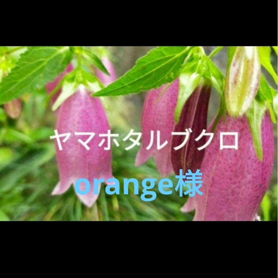 orange様 ハンドメイドのフラワー/ガーデン(プランター)の商品写真