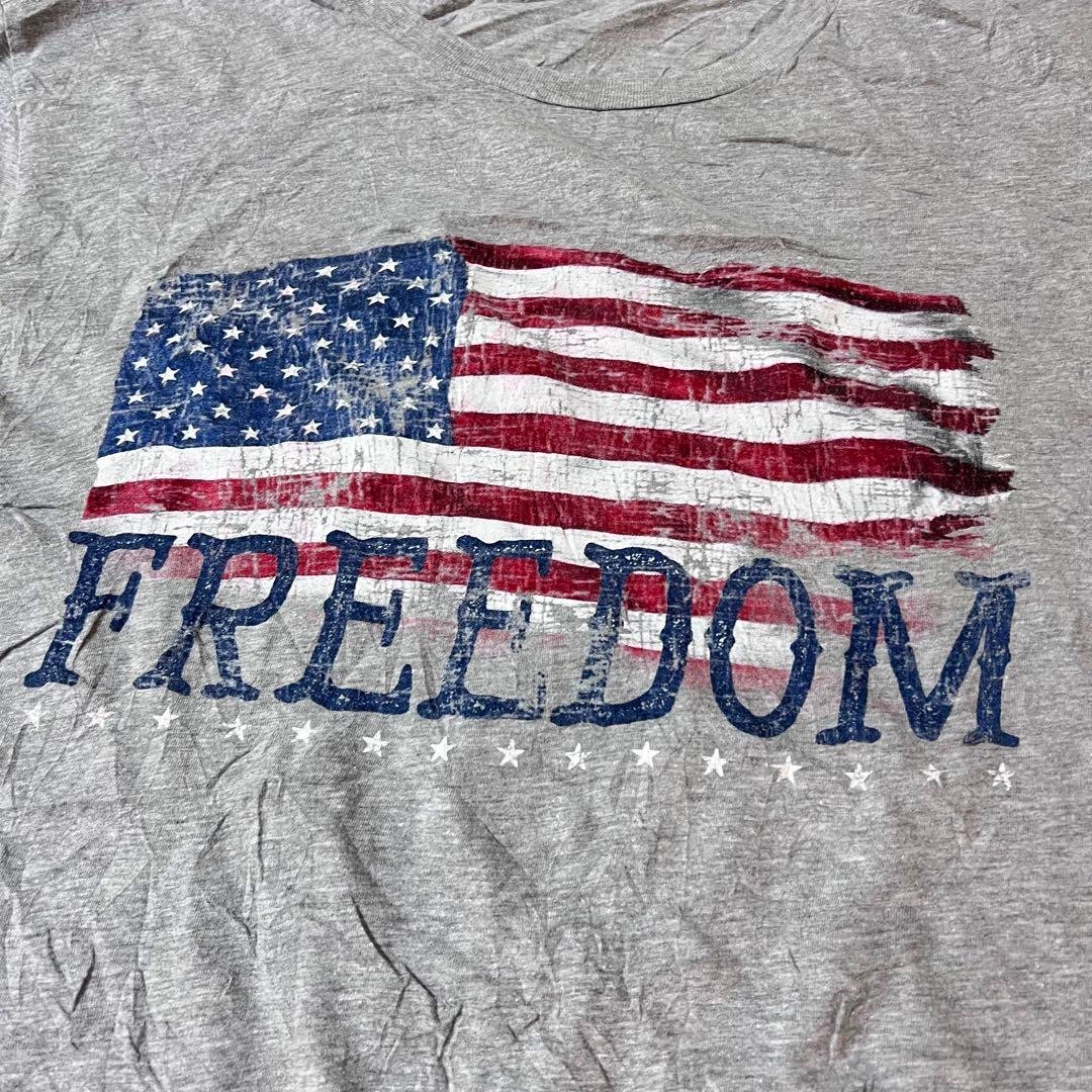 Anvil(アンビル)のUS 古着　Tシャツ　グレー　Anvil アメリカ　国旗　freedom  L メンズのトップス(Tシャツ/カットソー(半袖/袖なし))の商品写真