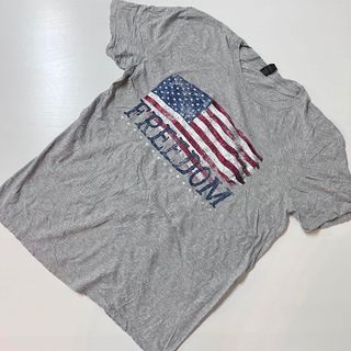 アンビル(Anvil)のUS 古着　Tシャツ　グレー　Anvil アメリカ　国旗　freedom  L(Tシャツ/カットソー(半袖/袖なし))