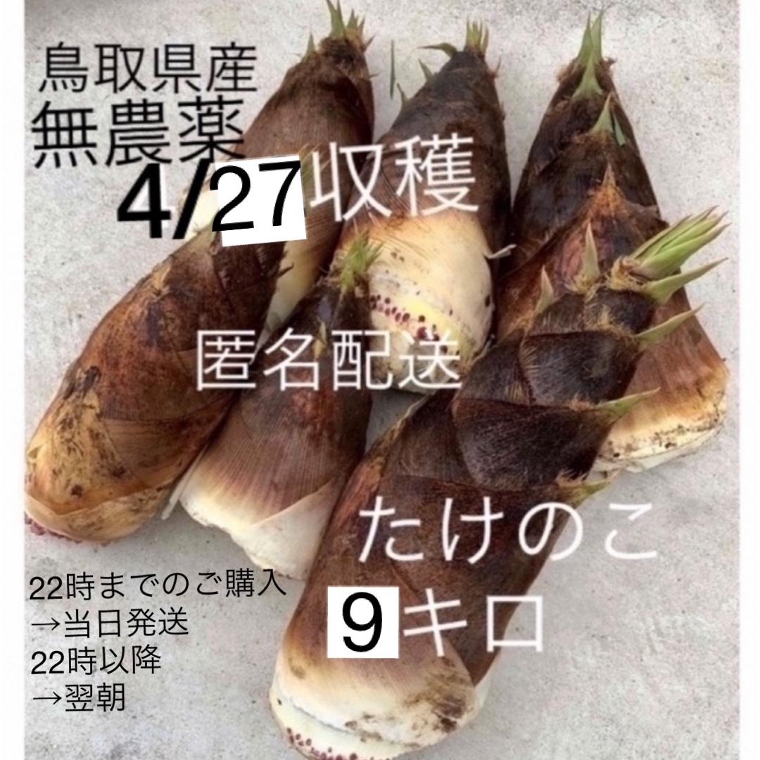 自然の無農薬たけのこ 9キロ 4/27(土)収穫 食品/飲料/酒の食品(野菜)の商品写真