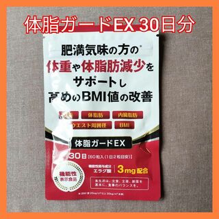 体脂ガードEX ダイエットサプリ 30日分(その他)