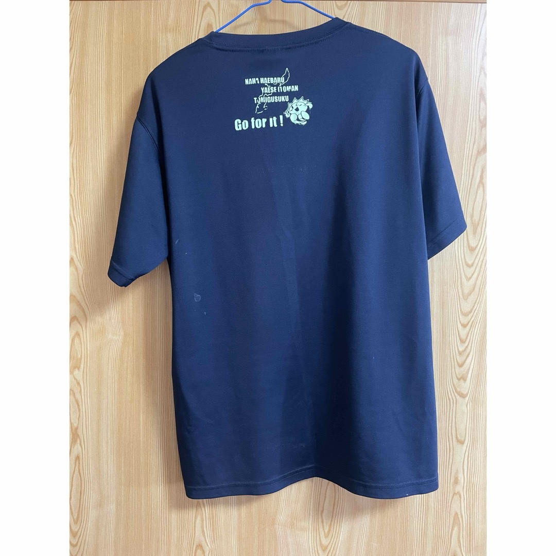 沖縄　那覇　マラソン　Ｔシャツ メンズのトップス(Tシャツ/カットソー(半袖/袖なし))の商品写真