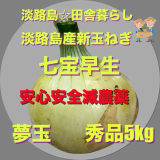 淡路島産新玉ねぎ 秀品 5kg 七宝早生 甘い 減農薬 農家直送 夢玉(野菜)