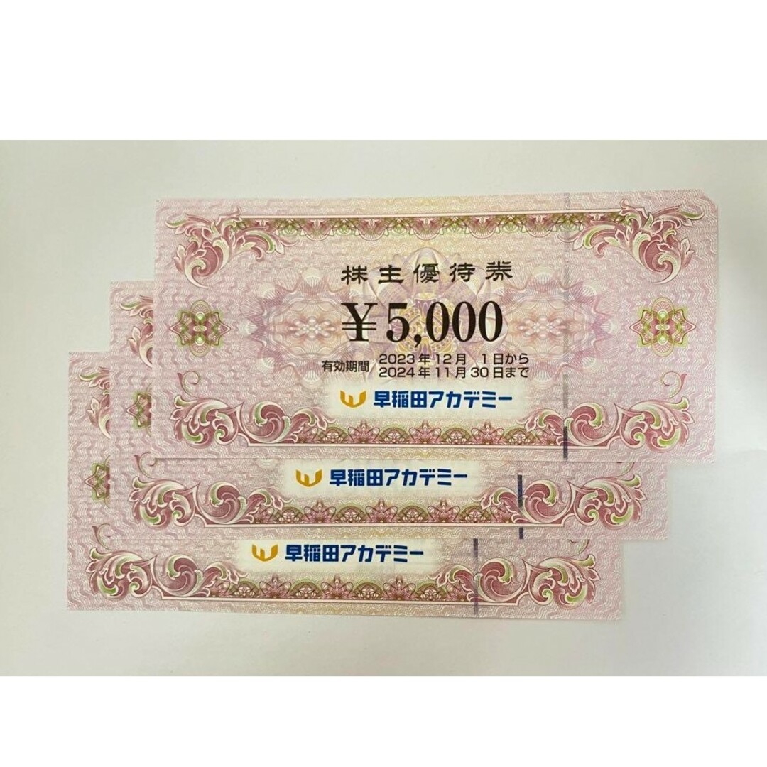 早稲田アカデミー 株主優待券 15000円分 チケットの施設利用券(その他)の商品写真