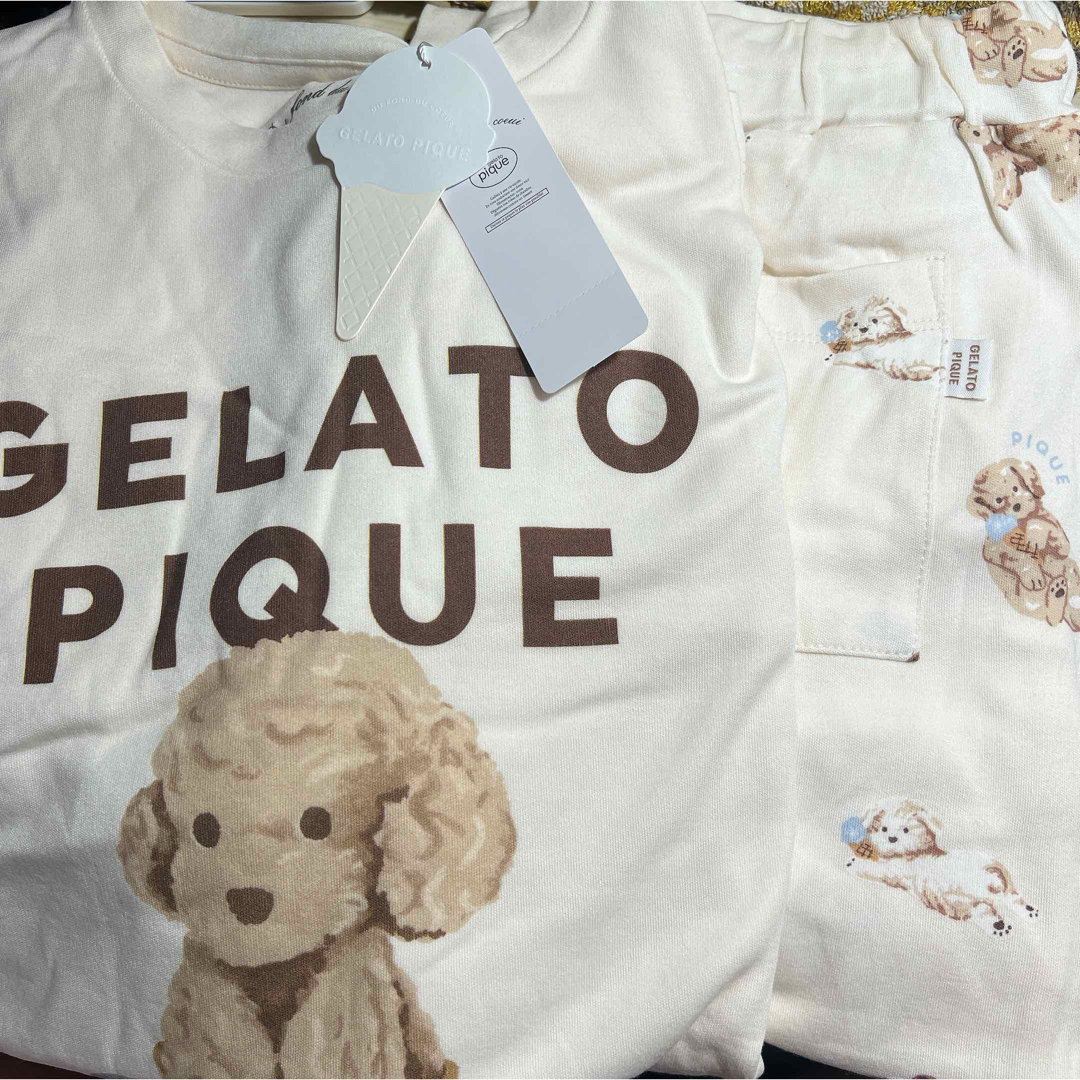 gelato pique(ジェラートピケ)の新品　ジェラートピケ　犬　ドッグ　上下　セットアップ　半袖　長ズボン　白　アイス レディースのルームウェア/パジャマ(ルームウェア)の商品写真