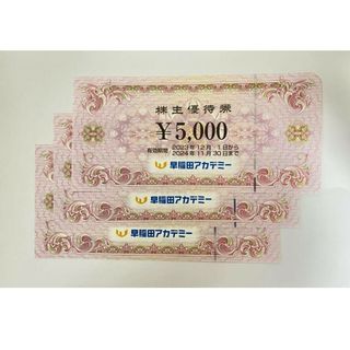 早稲田アカデミー 株主優待券 15000円分(その他)