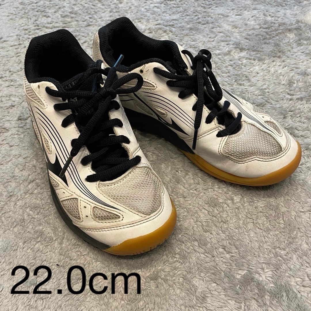 MIZUNO(ミズノ)のミズノ　バレーボールシューズ　22.0cm スポーツ/アウトドアのスポーツ/アウトドア その他(バレーボール)の商品写真