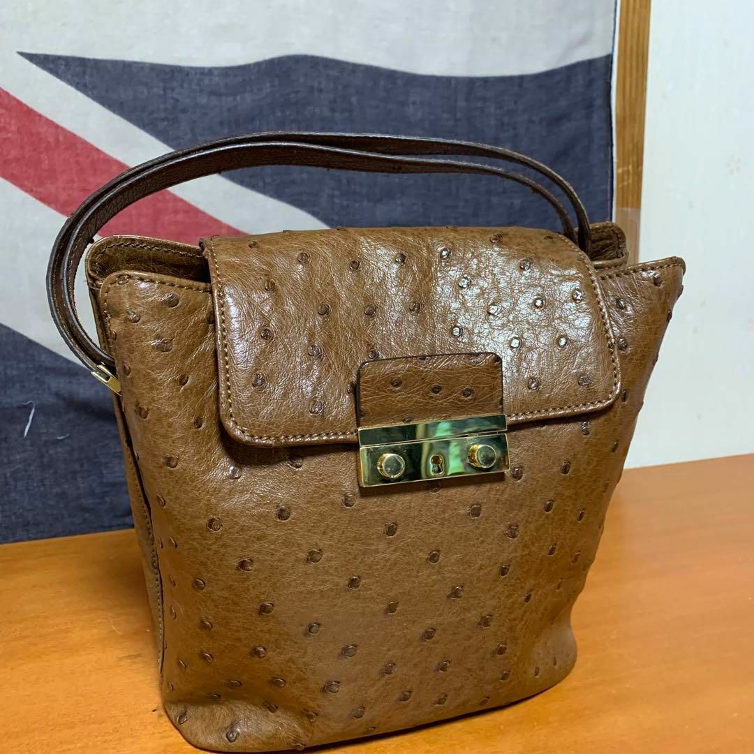 マウロゴヴェルナ MAURO GOVERNA　オーストリッチ　ハンドバッグ レディースのバッグ(ハンドバッグ)の商品写真