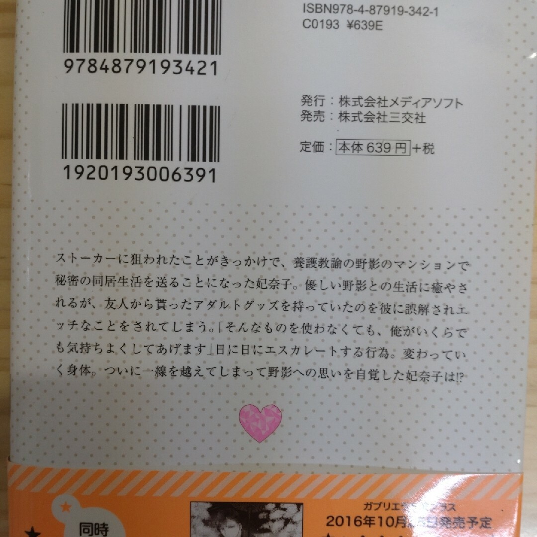 TL小説８冊セット エンタメ/ホビーの本(文学/小説)の商品写真