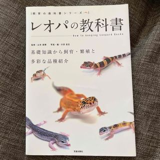 レオパの教科書　美品(住まい/暮らし/子育て)