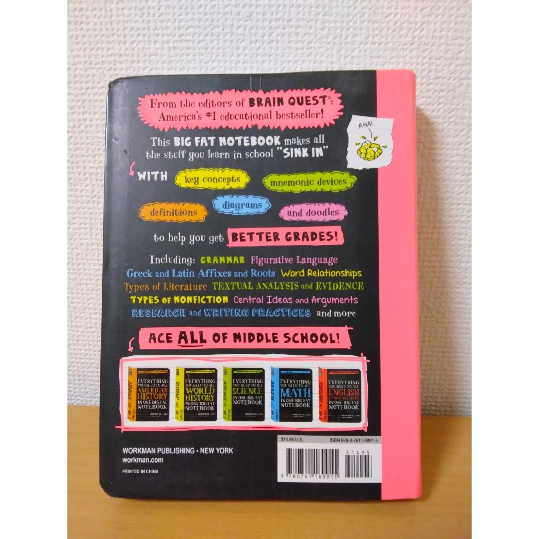 EVERYTHING YOU NEED TO ACE ENGLISH エンタメ/ホビーの本(語学/参考書)の商品写真