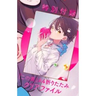 角川書店 - 『この美』A4折りたたみクリアファイル